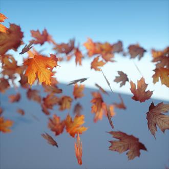 Click image for larger version

Name:	leaf test.jpg
Views:	1
Size:	512.4 KB
ID:	5225