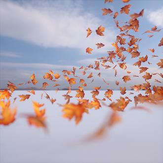 Click image for larger version

Name:	leaf test.jpg
Views:	1
Size:	1.04 MB
ID:	5235