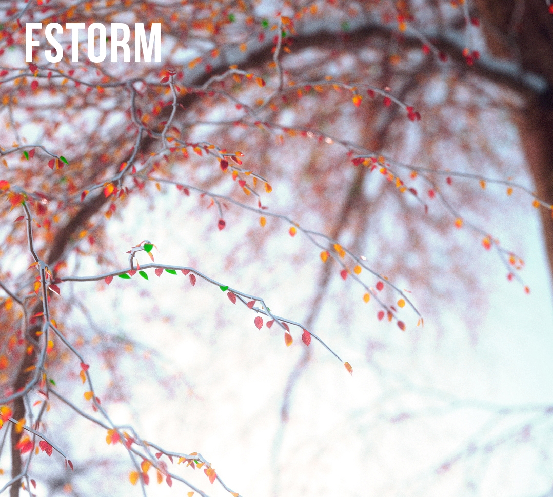 Click image for larger version

Name:	fstormbokeh.jpg
Views:	1
Size:	857.7 KB
ID:	9027