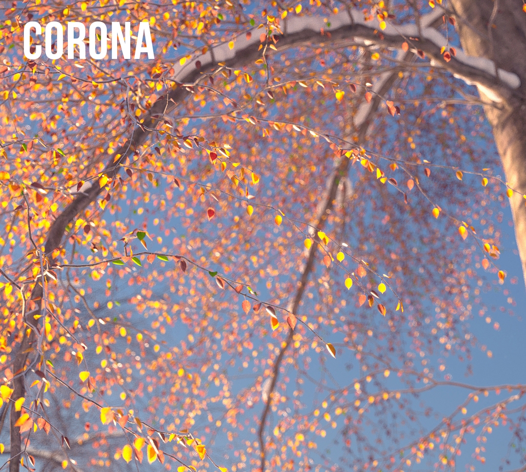 Click image for larger version

Name:	corona bokeh.jpg
Views:	1
Size:	1.08 MB
ID:	9028