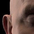 Click image for larger version

Name:	fstorm_ear.jpg
Views:	1
Size:	570.0 KB
ID:	7324